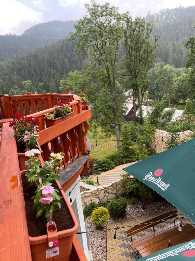 Penzion Bawaria Horni Lomna Exterior foto